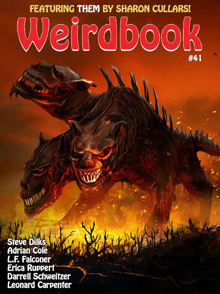 Weirdbook #41: New Fantasy & Horror Tales poster