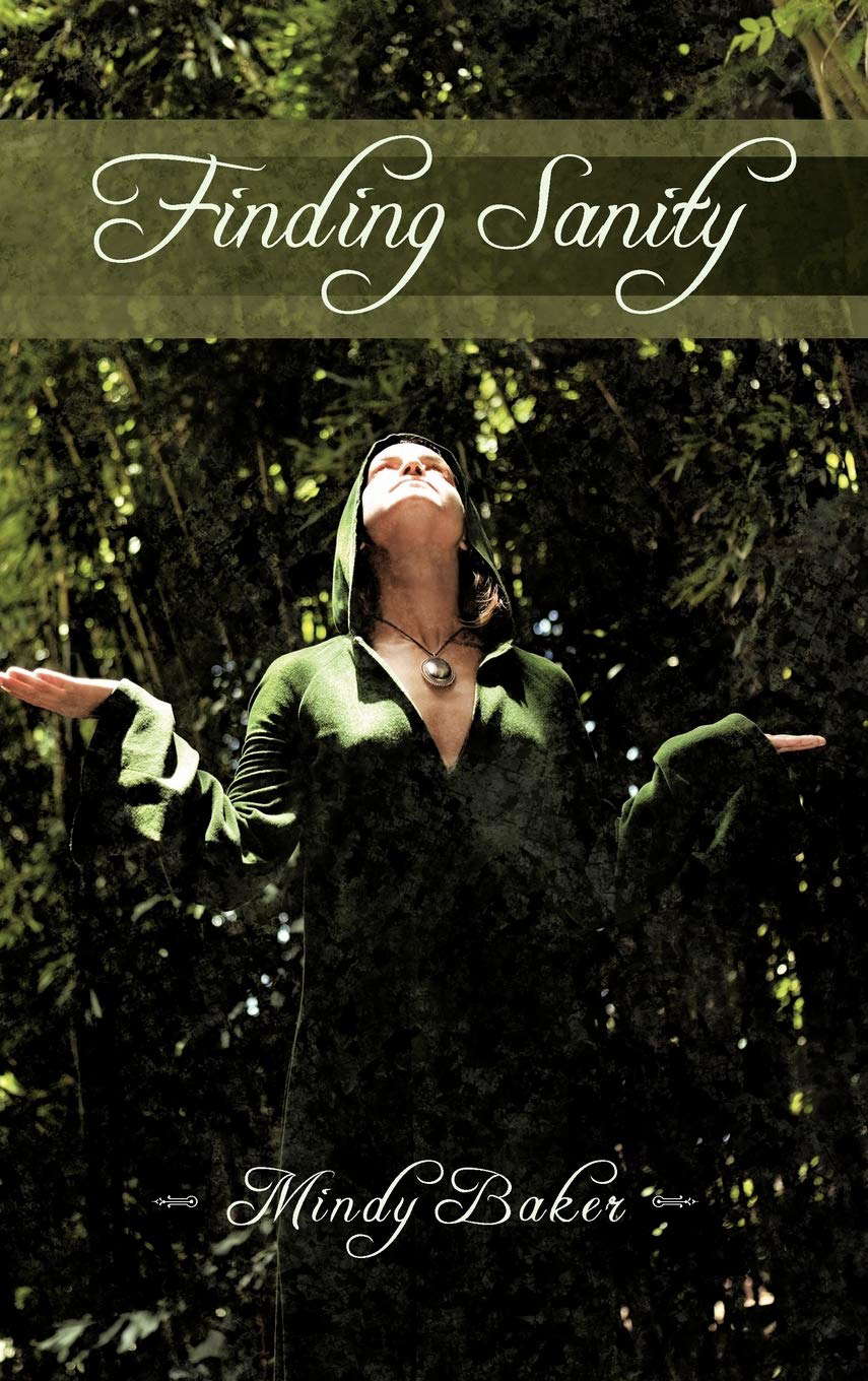 Finding Sanity poster