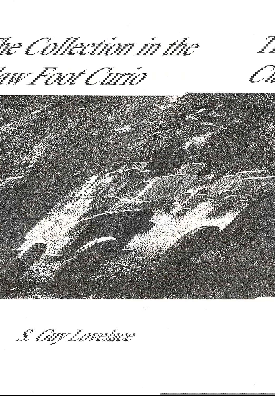The Collection in the Claw Foot Curio (The Edgar Trio Book 3) poster