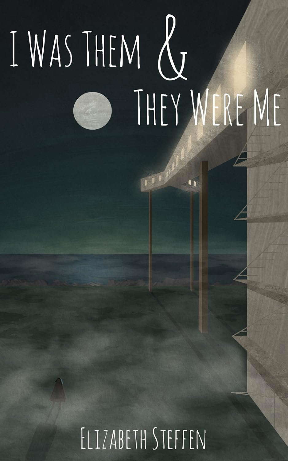 I Was Them & They Were Me poster