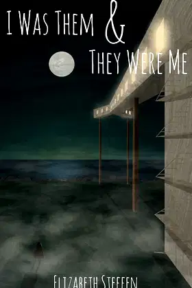 I Was Them & They Were Me poster