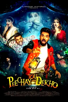 Peechay Tou Dekho poster