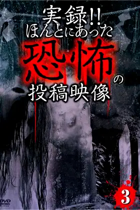 Actual Record! Real Horror Posted Video 3 poster