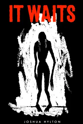 It Waits poster
