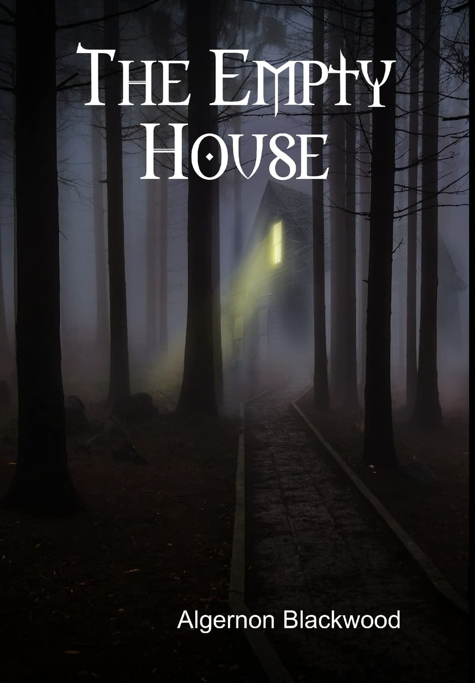 The Empty House poster