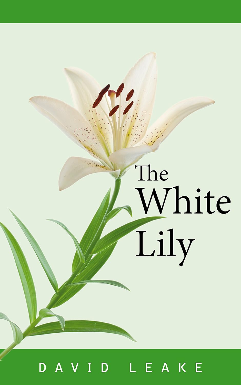 The White Lily poster