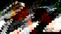 episode poster