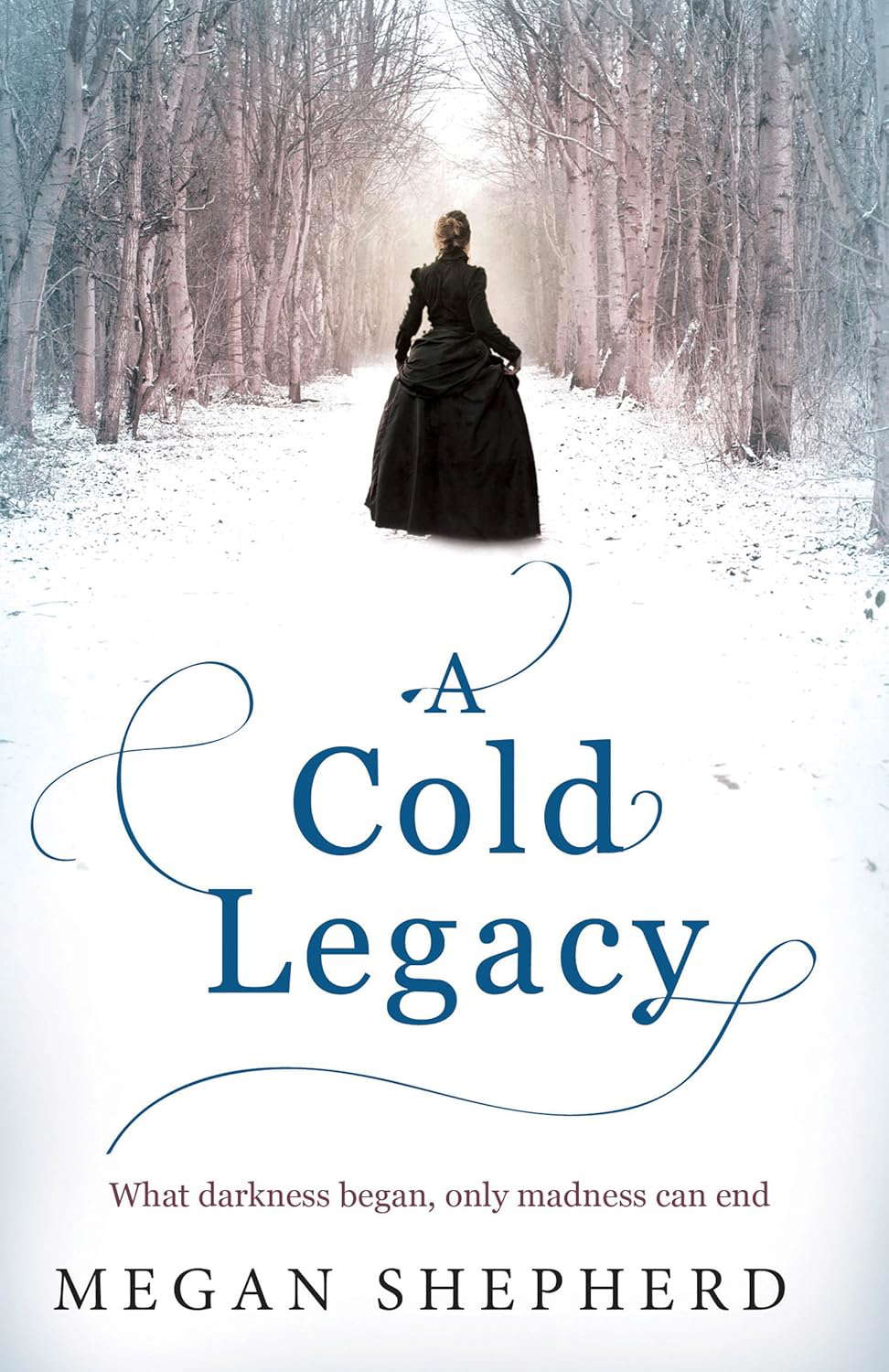 A Cold Legacy poster