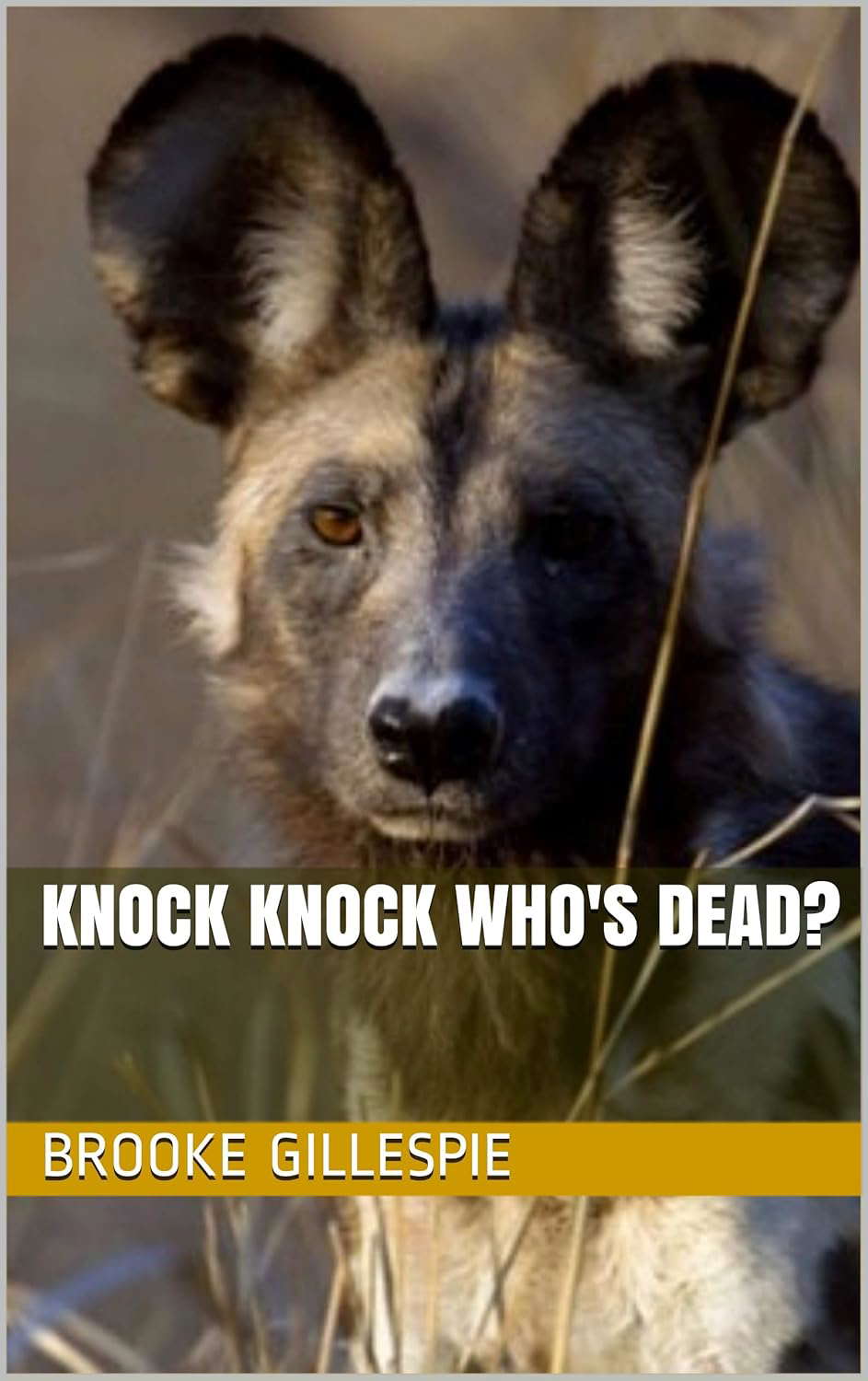 Knock Knock Who's Dead? (The Chills and Spills of Brooke Gillespie Book 1) poster