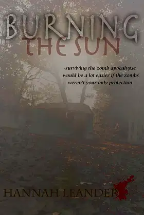 Burning The Sun poster