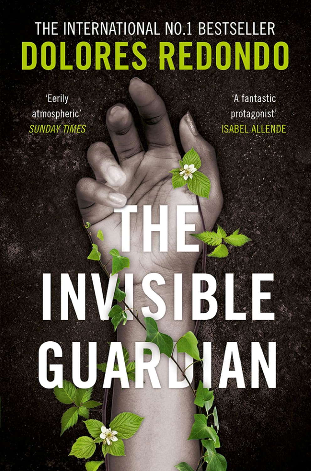 The Invisible Guardian (The Baztan Trilogy, Book 1) poster