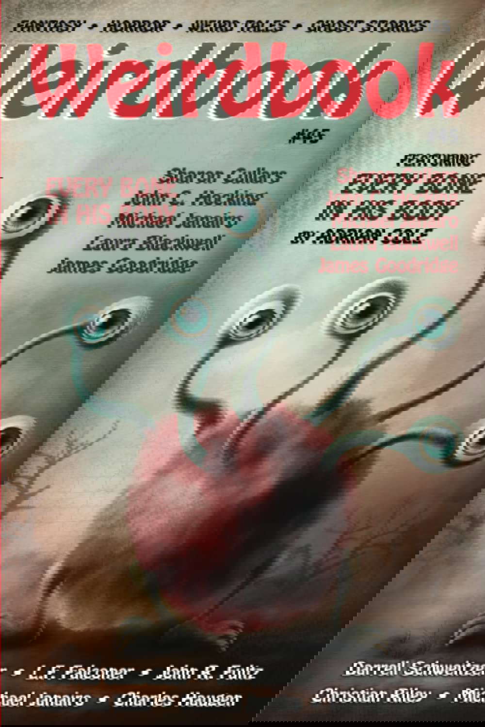 Weirdbook #45 poster