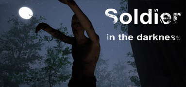 Soldier in the darkness capsule