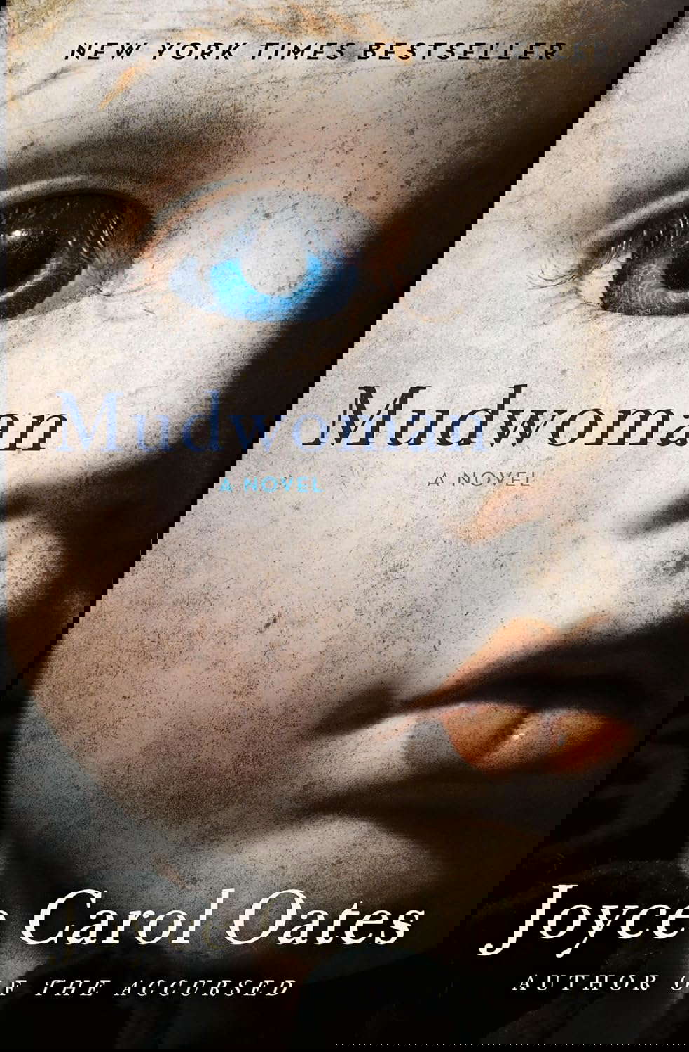 Mudwoman: A Novel poster