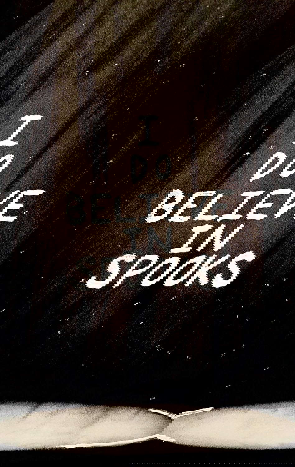 I Do Believe In Spooks poster