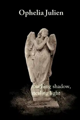 Touching Shadow, Stealing Light: #5 (A Bridgeton Park Cemetery) poster