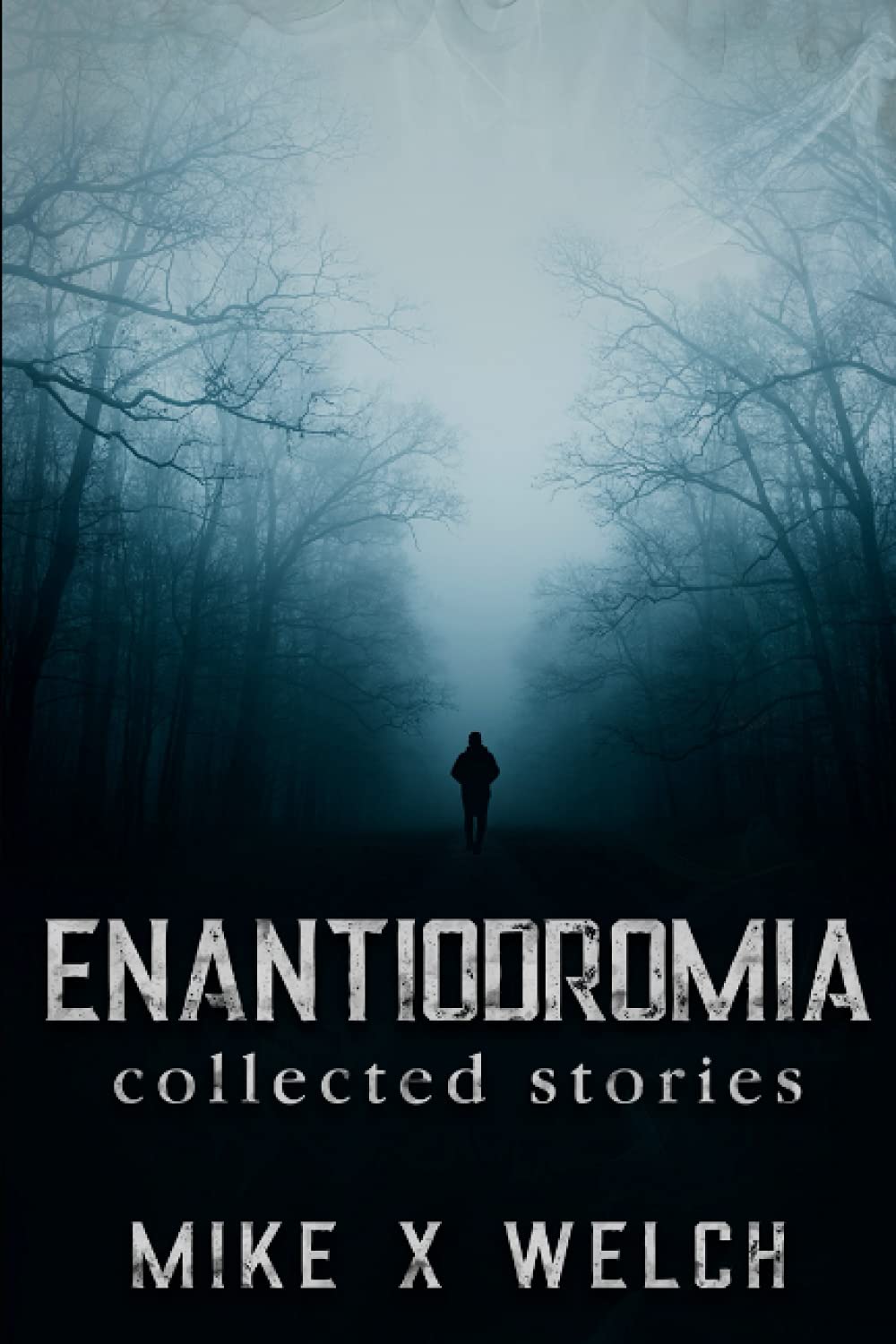 ENANTIODROMIA: collected stories poster