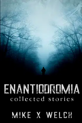 ENANTIODROMIA: collected stories poster