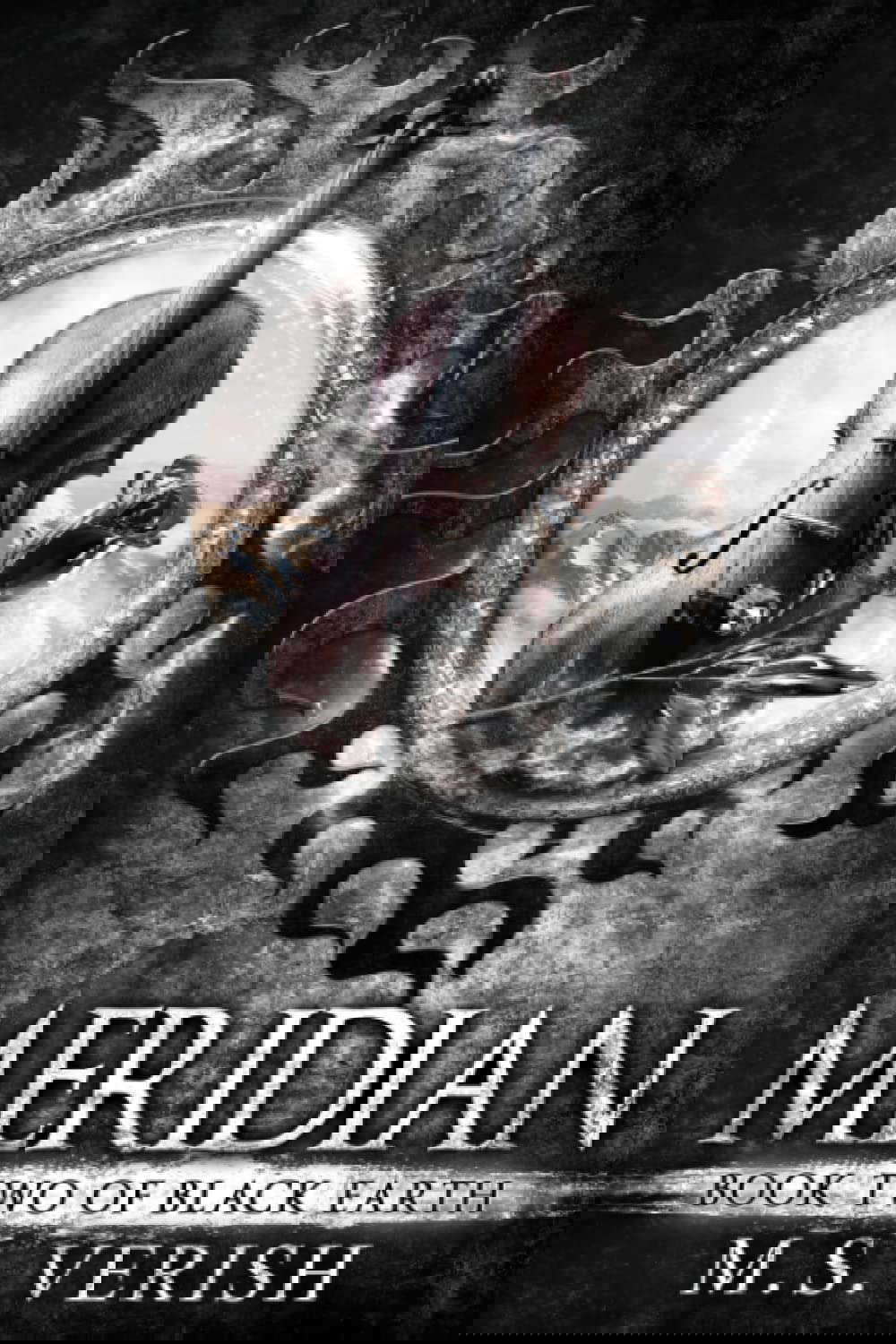 Meridian: Book Two of Black Earth poster