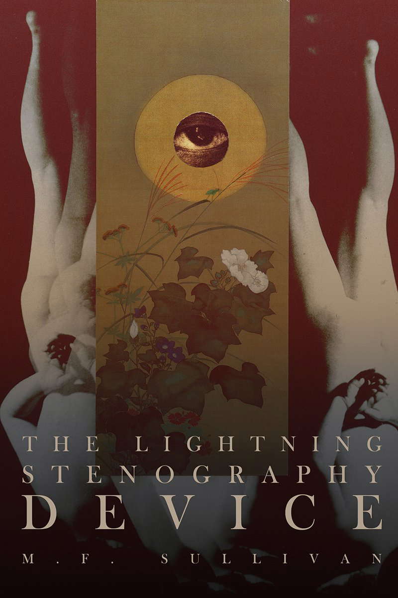 The Lightning Stenography Device: A Psychedelic Odyssey poster
