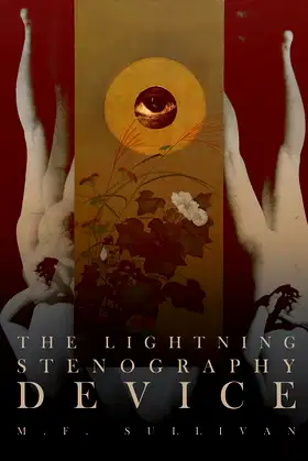 The Lightning Stenography Device: A Psychedelic Odyssey poster