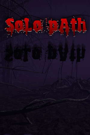 Solo Path poster