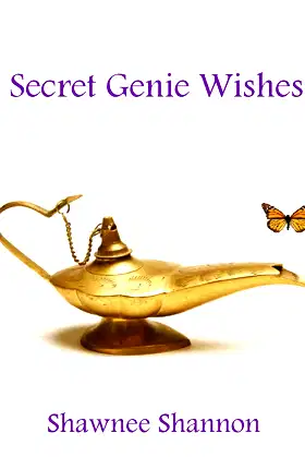 Secret Genie Wishes poster