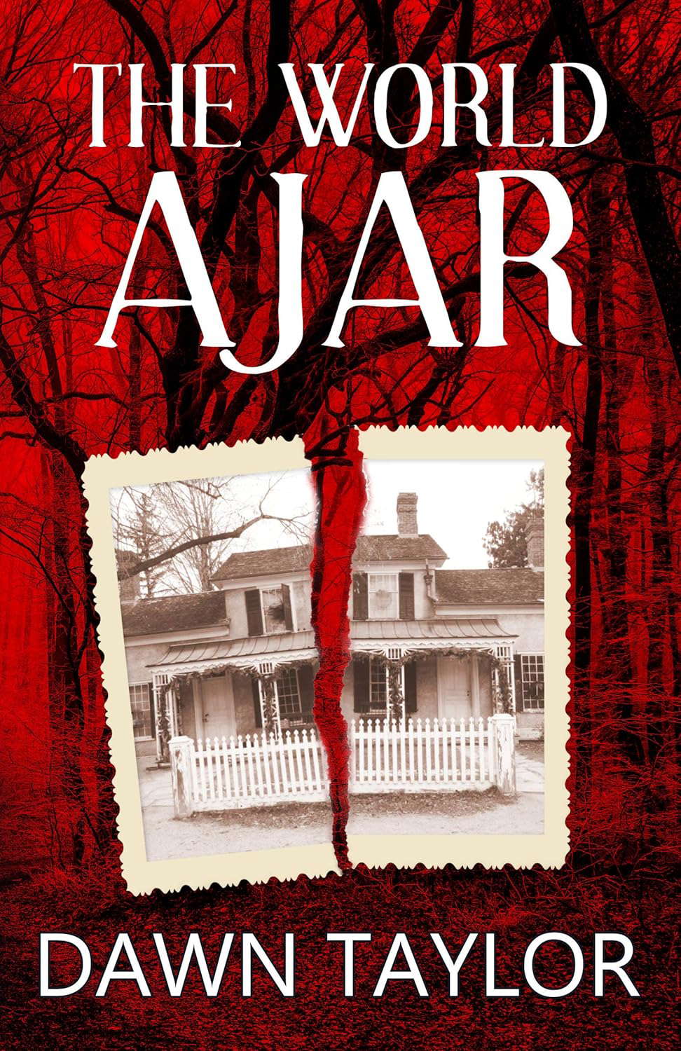 The World Ajar poster