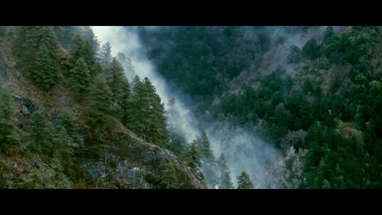 A Director's Cut: Monsters in the Woods poster