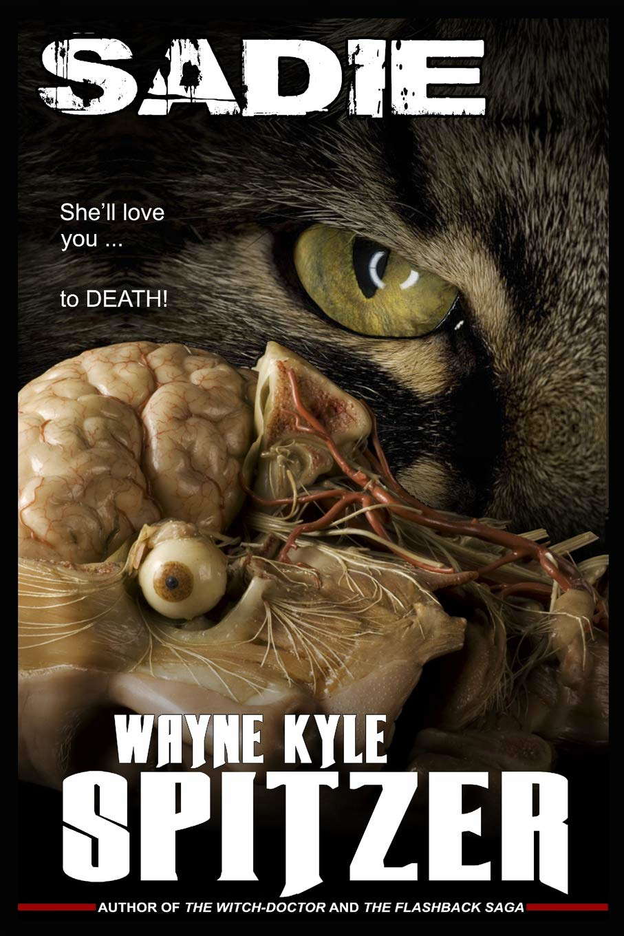 Sadie poster
