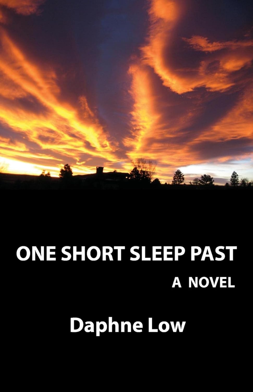 One Short Sleep Past: A Novel poster