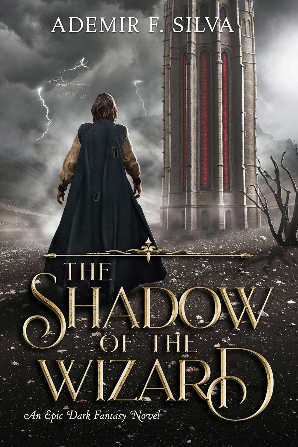 The Shadow of The Wizard: An Epic Dark Fantasy Novel poster