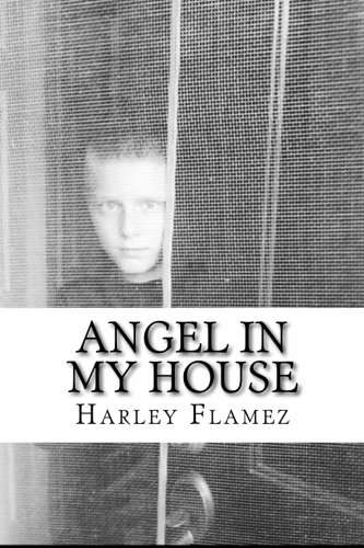 Angel In My House: Emily's Journal poster