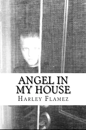 Angel In My House: Emily's Journal poster