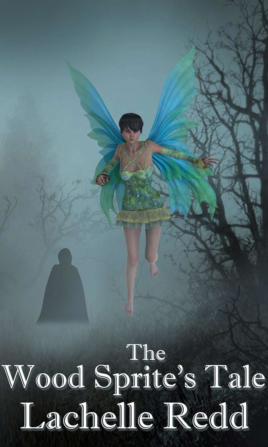 The Wood Sprite's Tale poster