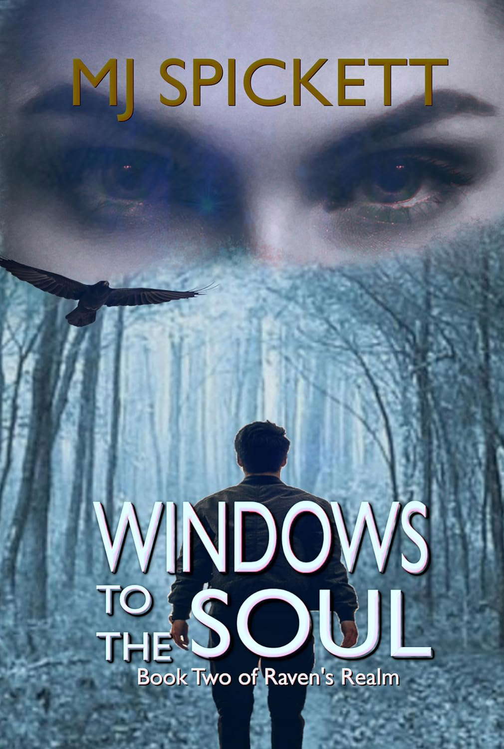 Windows to the Soul: Book Two of Raven's Realm poster