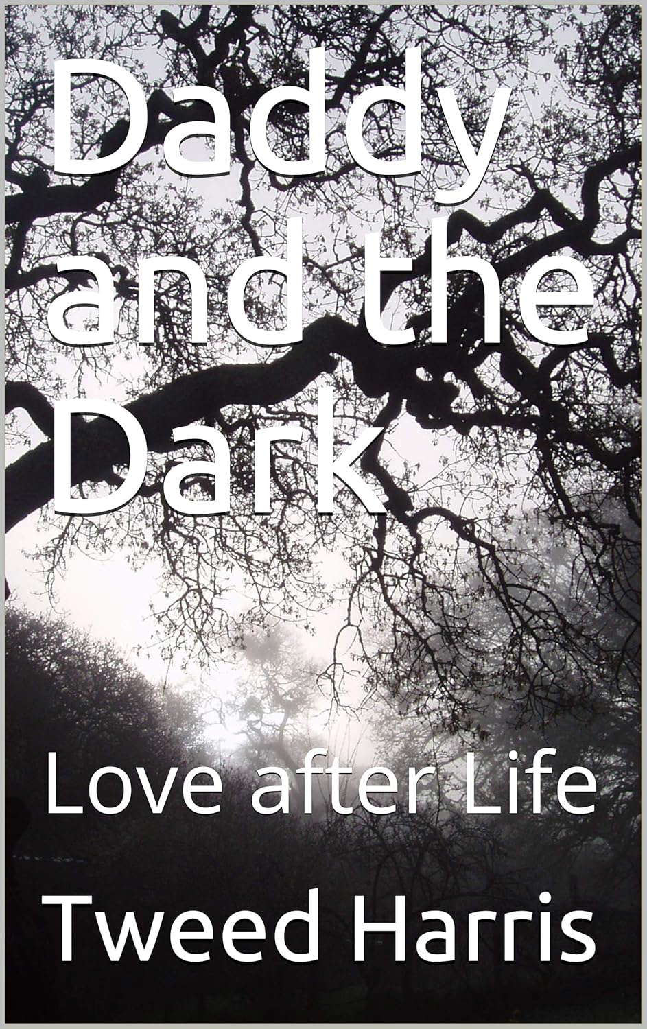 Daddy and the Dark: Love after Life poster