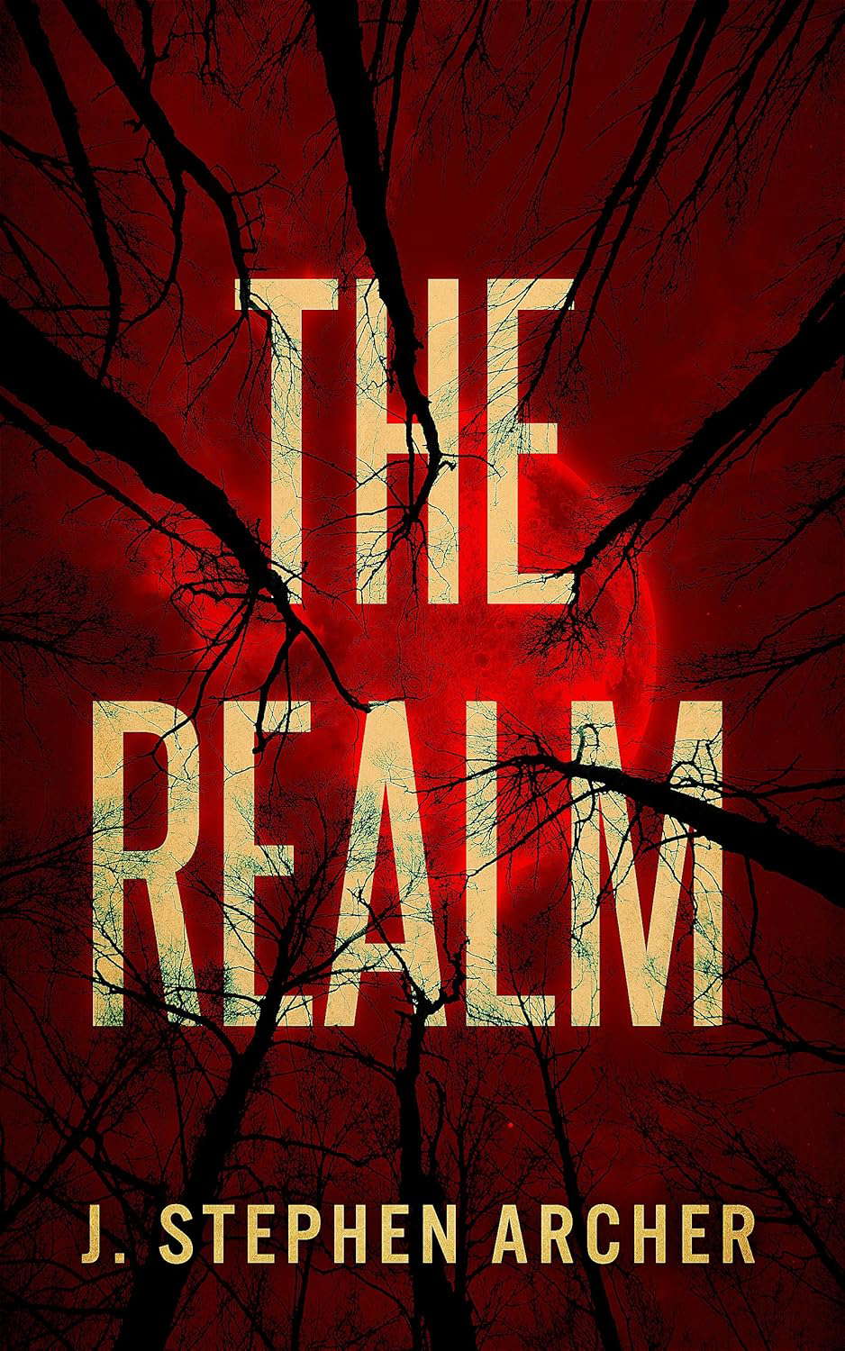 The Realm poster