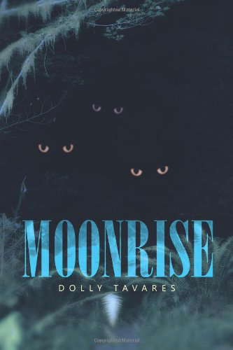 Moonrise poster