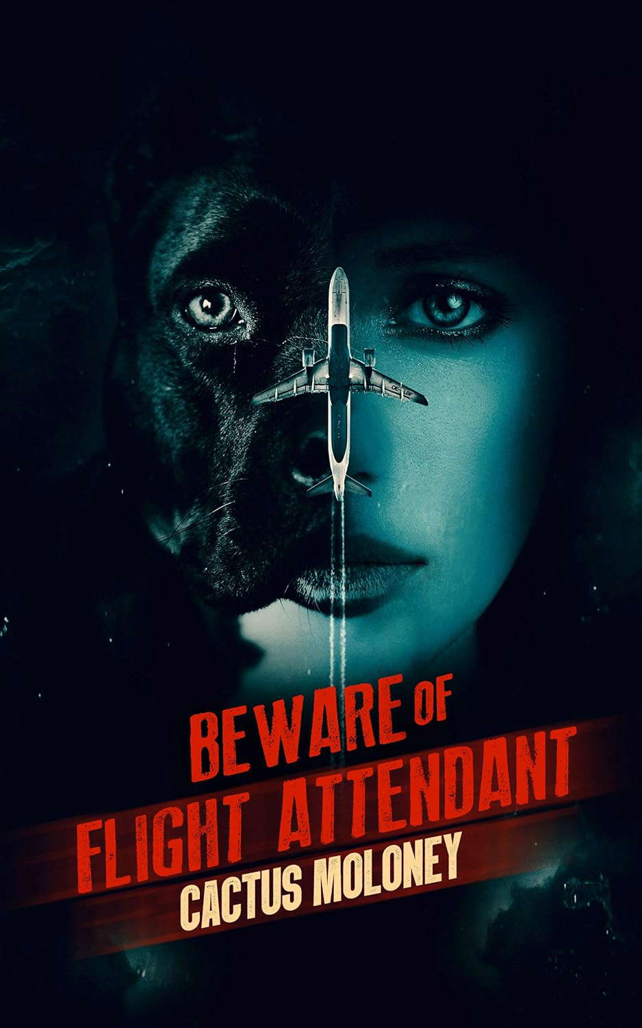 BEWARE OF FLIGHT ATTENDANT poster