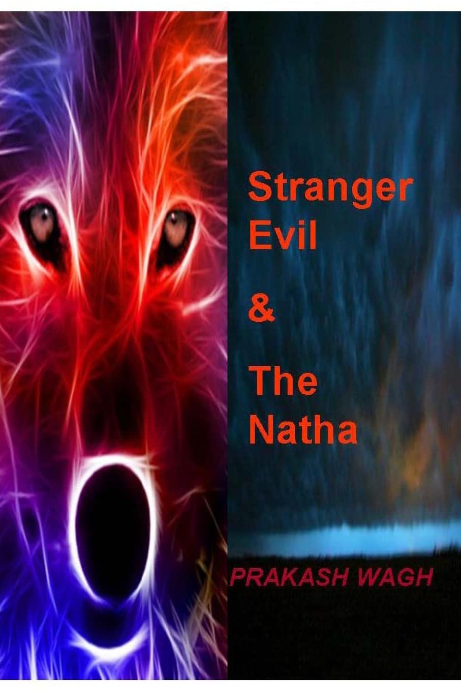 Stranger Evil & the Natha (The Natha Mystery) poster