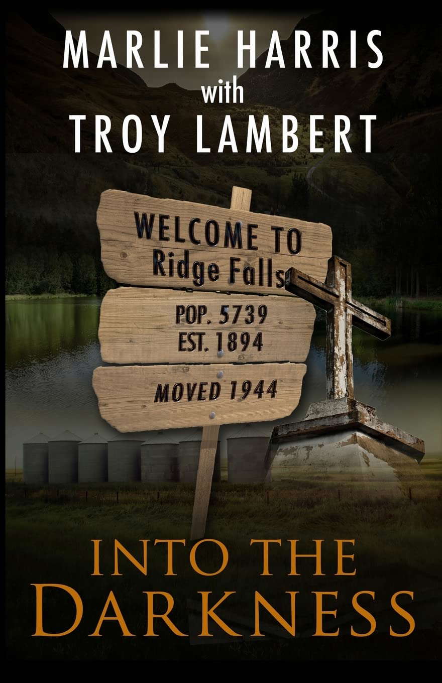 Into the Darkness: A Ridge Falls Story (The Ridge Falls Series) poster