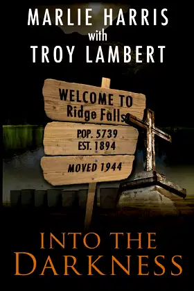 Into the Darkness: A Ridge Falls Story (The Ridge Falls Series) poster