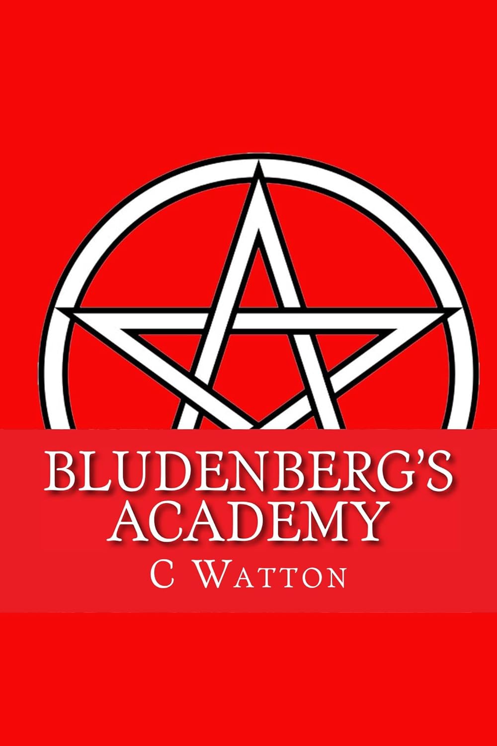 Bludenberg's Academy (Vampire, Witch and Were Series Book 5) poster