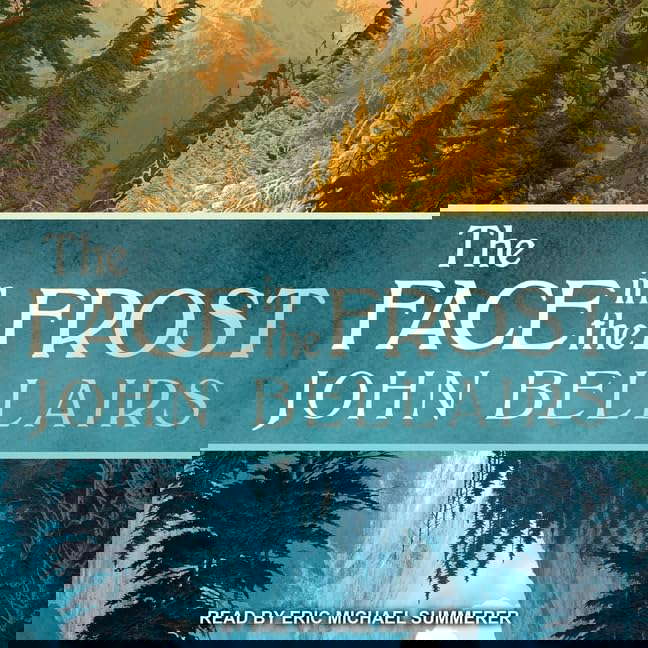 The Face in the Frost poster