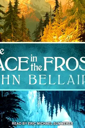 The Face in the Frost poster