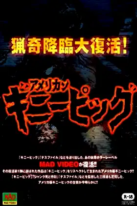 American Guinea Pig: Bouquet of Guts and Gore poster