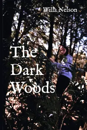 The Dark Woods poster