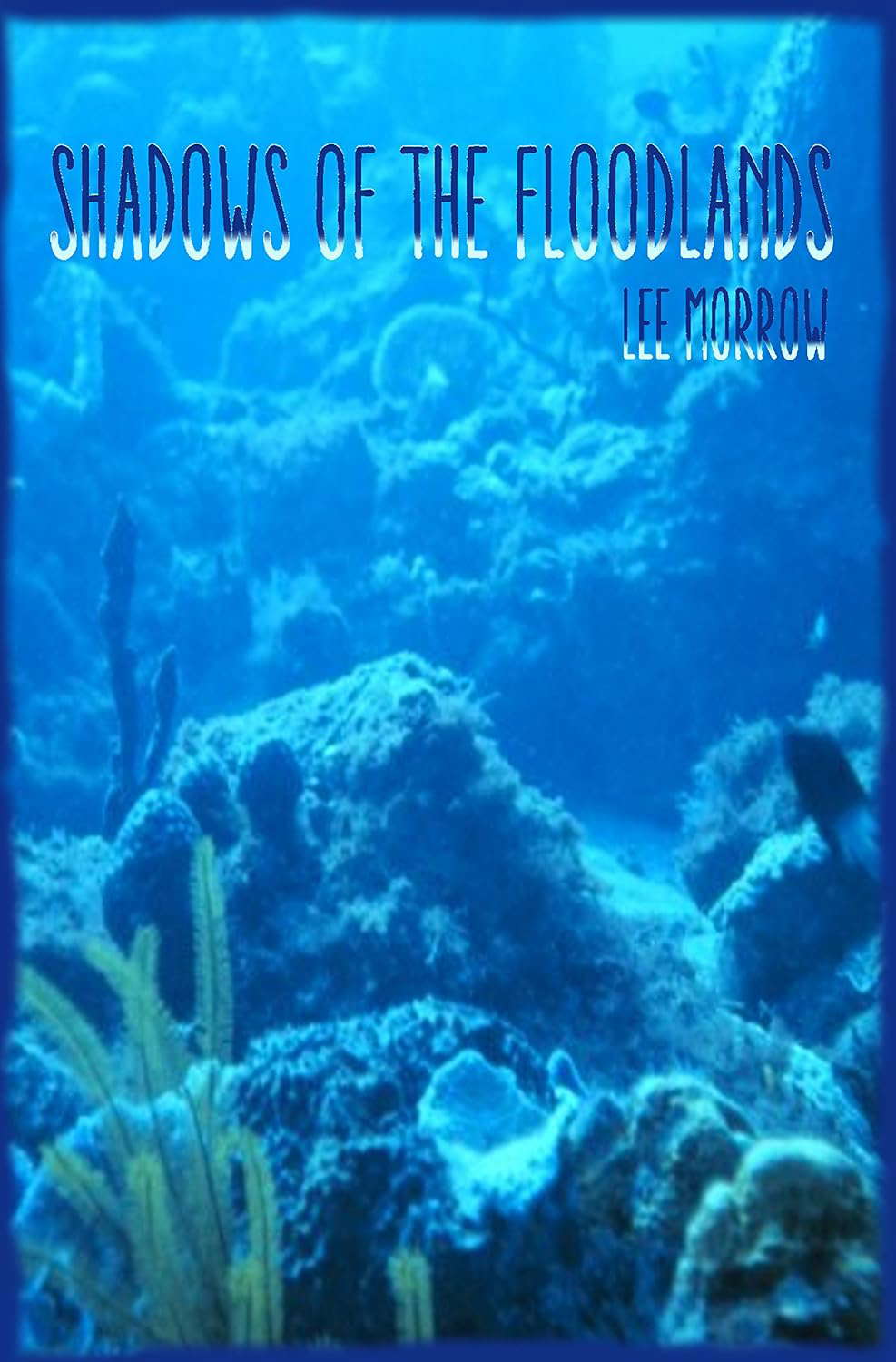 Shadows of the Floodlands poster