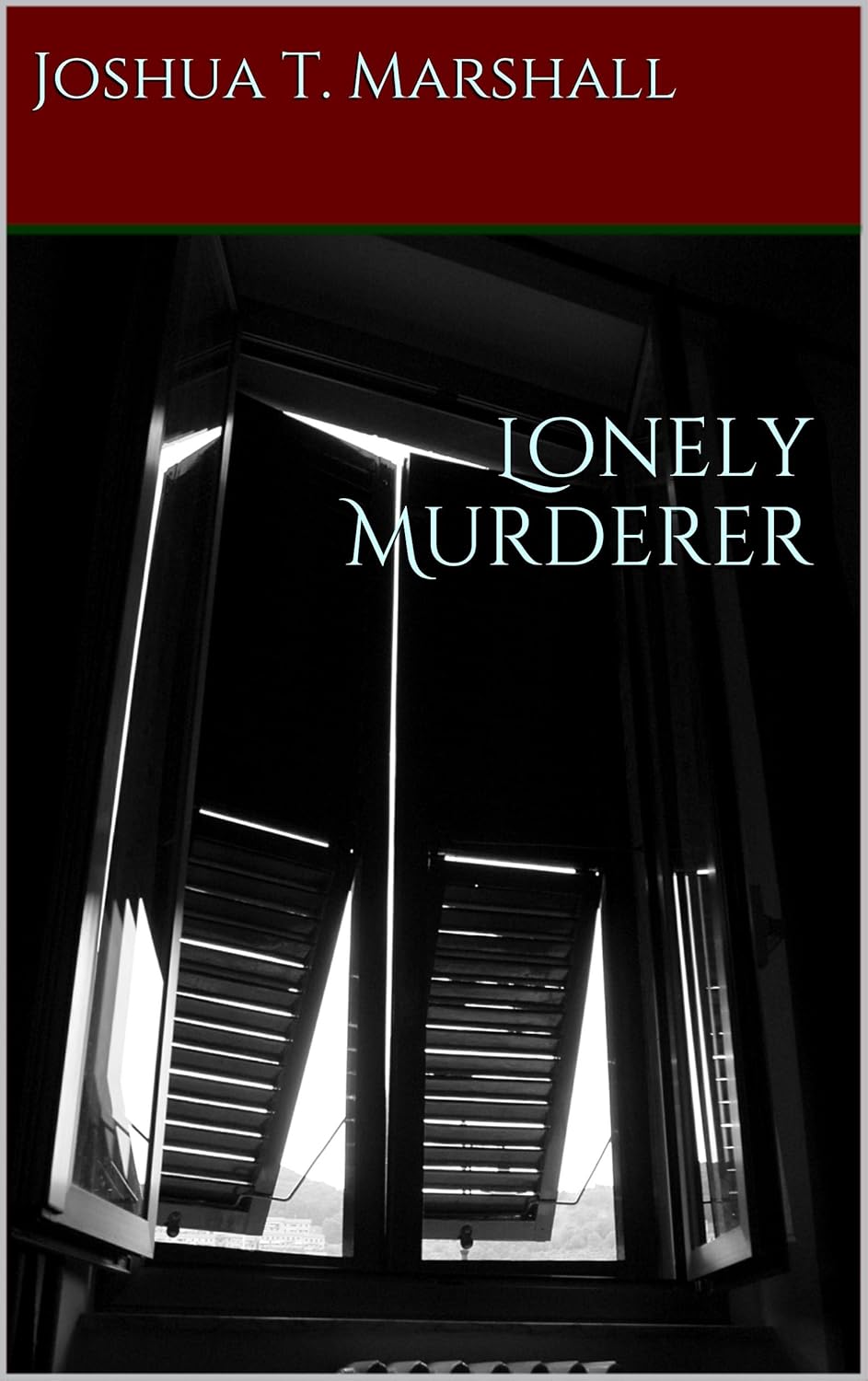 Lonely Murderer poster